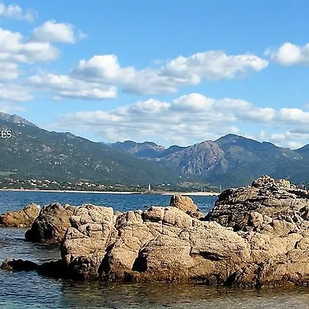 Bergerie Babbu, Domaine De L Ogliastru *