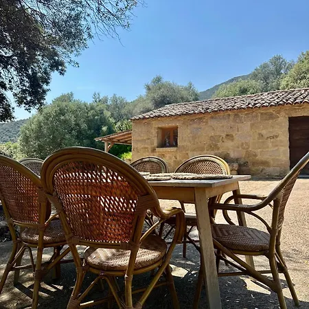 Bergerie Babbu, Domaine De L Ogliastru *